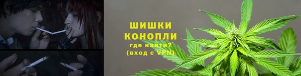 spice Новозыбков