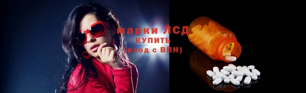 spice Новозыбков