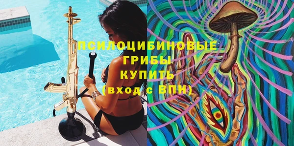 мескалин Новодвинск