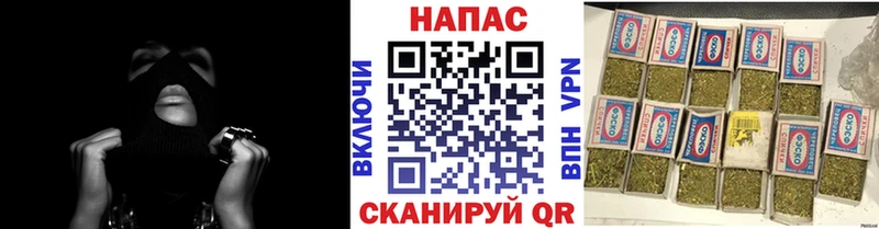 Каннабис семена Бежецк